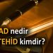 İctihad Nedir? Müctehid Kimdir?